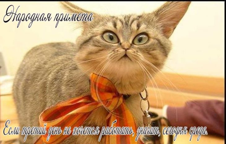 Открытки